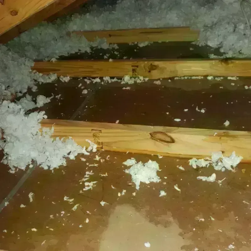 Attic Water Damage in Kaunakakai, HI