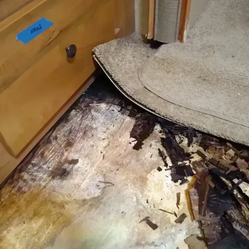 Wood Floor Water Damage in Kaunakakai, HI